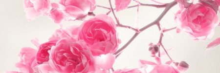 Happymee77's profile banner image