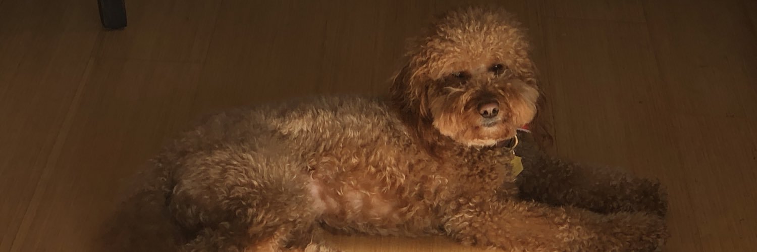 madeline_whitee's profile banner image