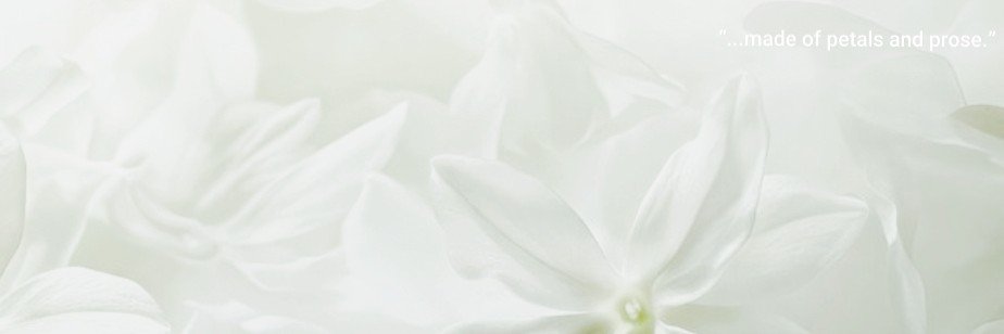 aIiceia's profile banner image