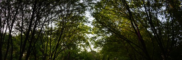 CS13231 Profile Banner