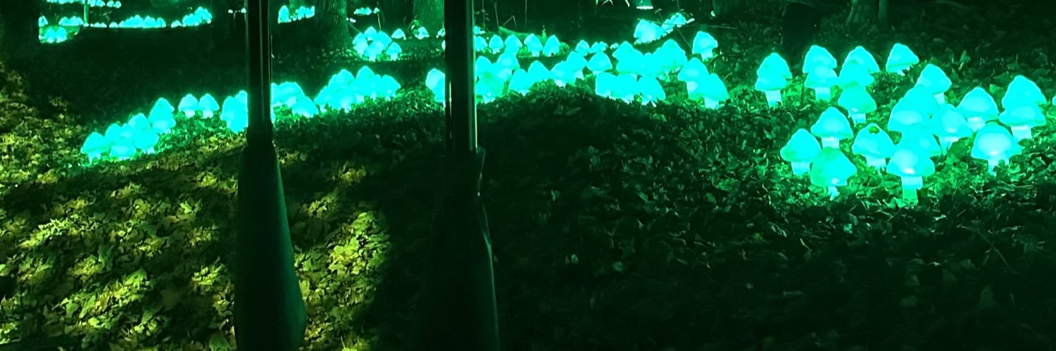 ZargoTheBeast's profile banner image
