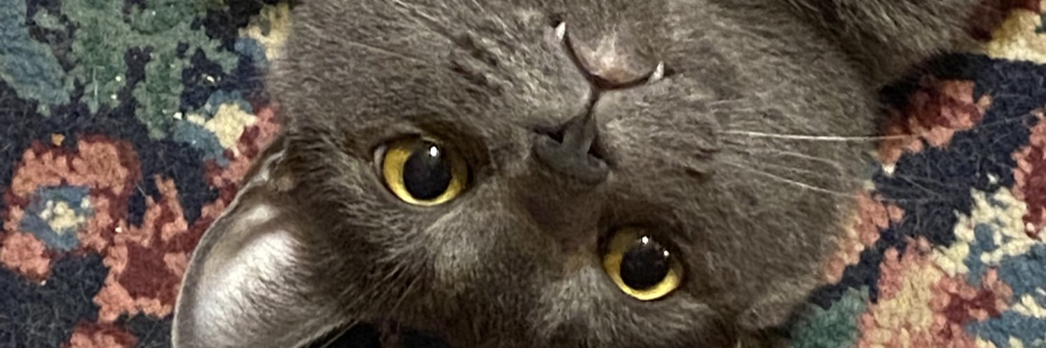 Harley_Marie142's profile banner image