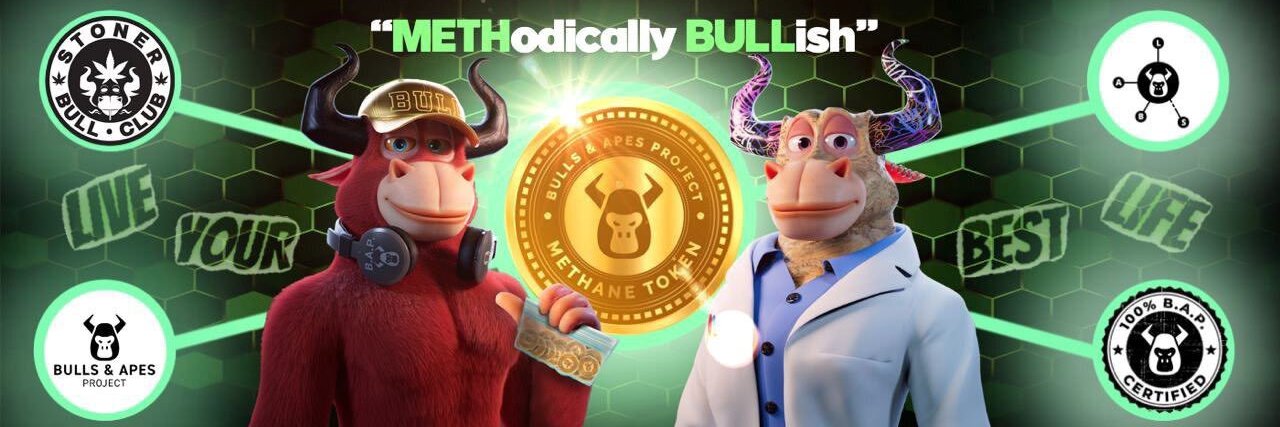 Barry the Bear banner