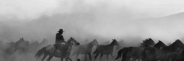 Jesse. banner