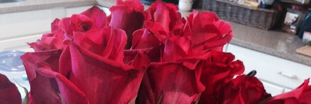 meyerman92's profile banner image