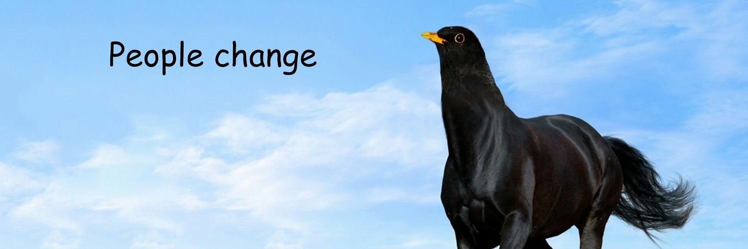 changel's profile banner image