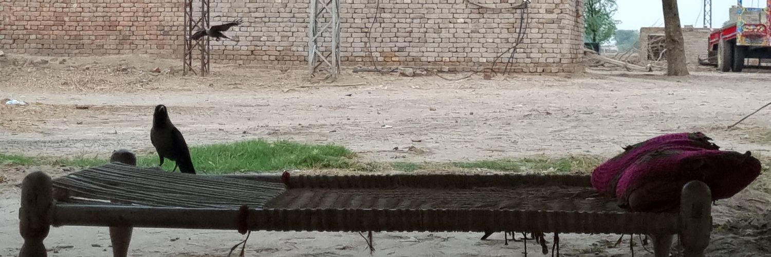 چودھری یاسر علی banner