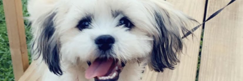 _PriincessK's profile banner image