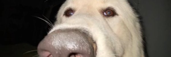 MarvelBigWheel Profile Banner