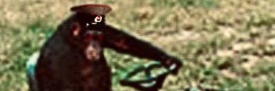 votescold's profile banner image