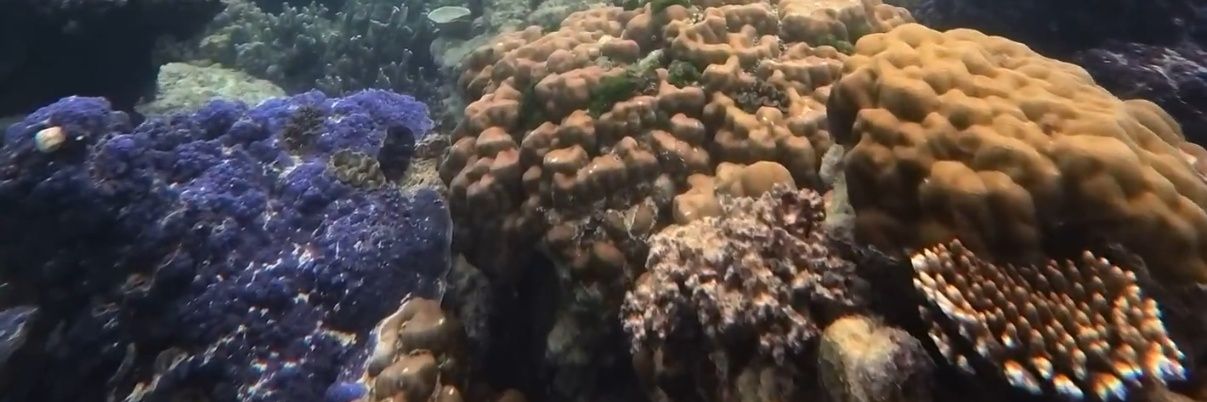 Lorde Morpheus banner