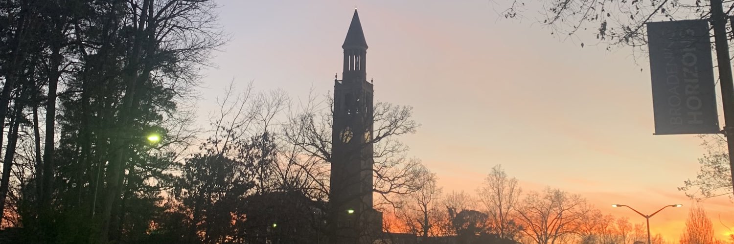 Anna Page Lancaster banner