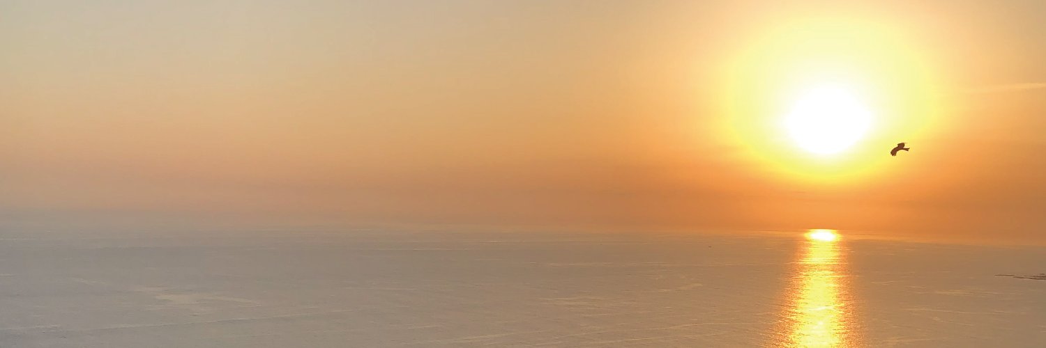 Woke banner