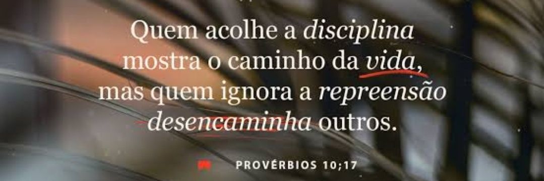 Rafaela Pereira Marques banner