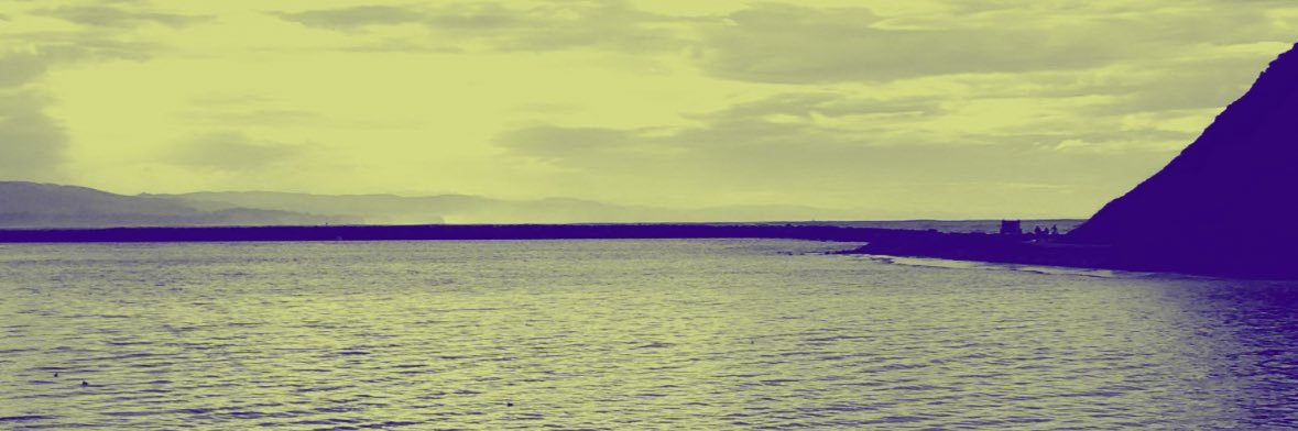 eduardosasso's profile banner image