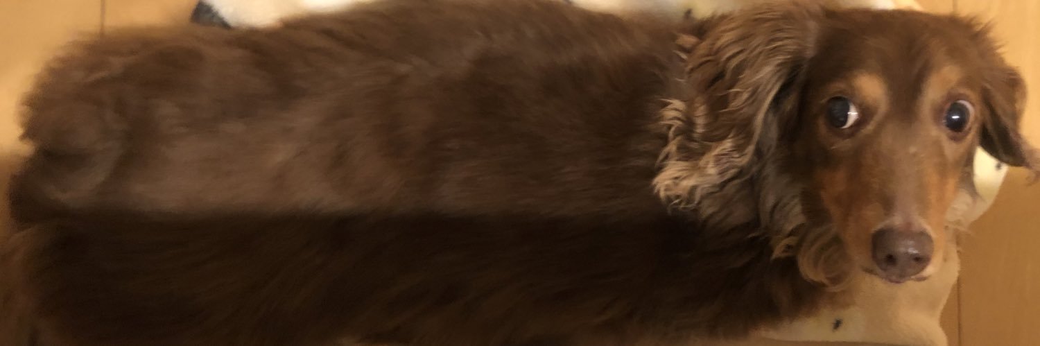 takepf's profile banner image