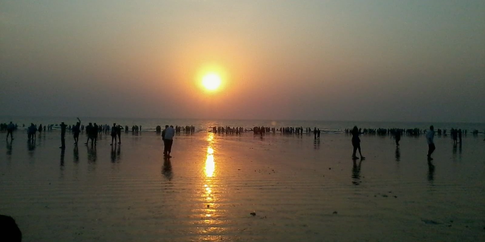 snehasilly's profile banner image