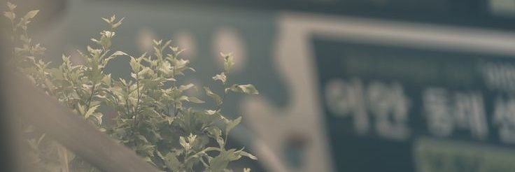 𖧧 banner