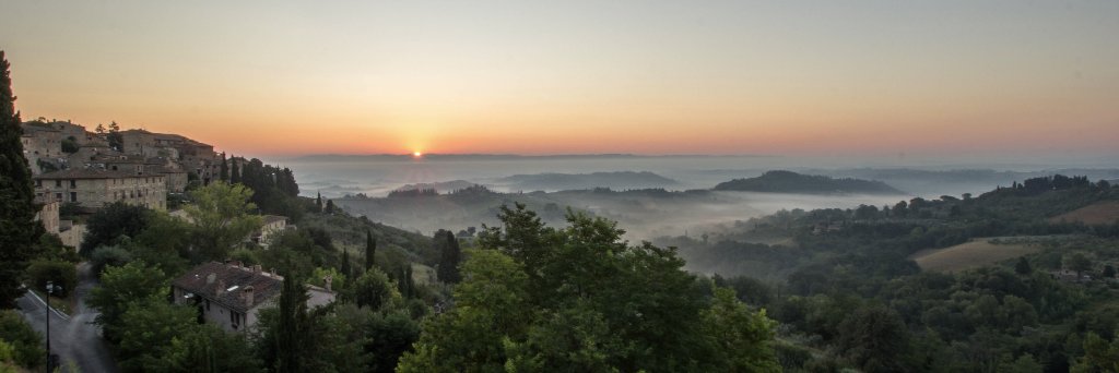 Bri Norton (she/her) banner