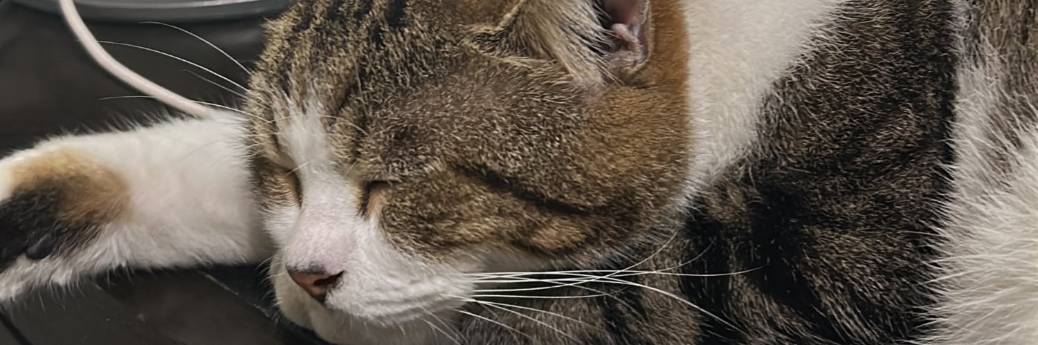 Mateustm7_'s profile banner image