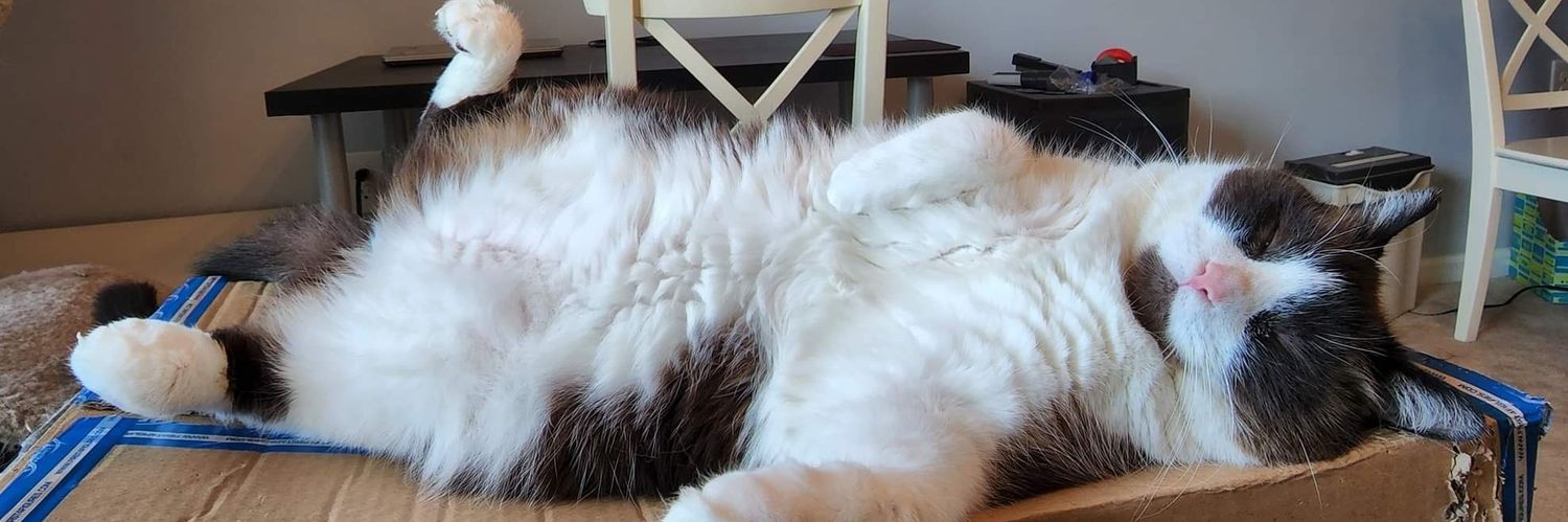 William Blake!?! banner