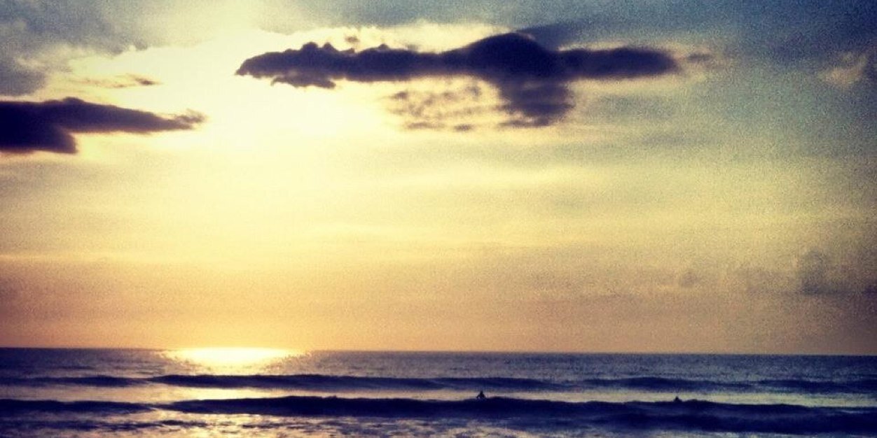 starfish_bea's profile banner image