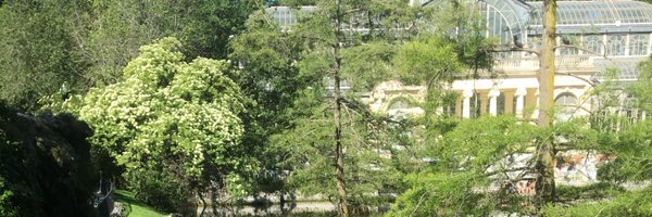 Marcelroa90 Profile Banner