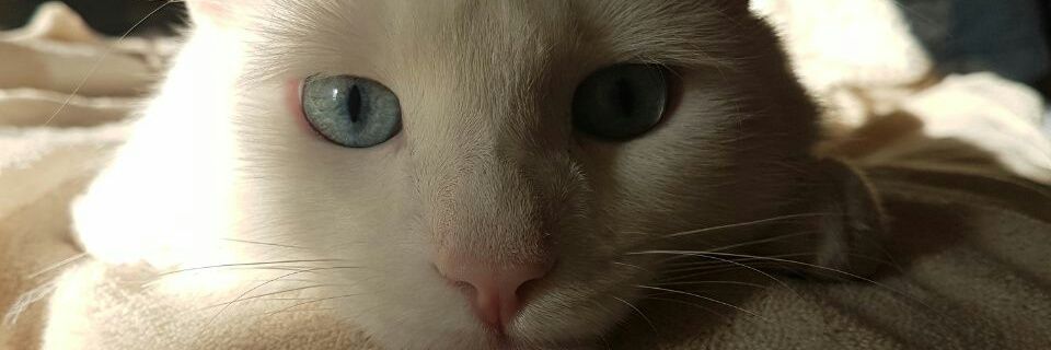 barruetoc2's profile banner image