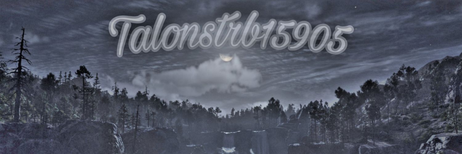 Talonstrb15905's profile banner image