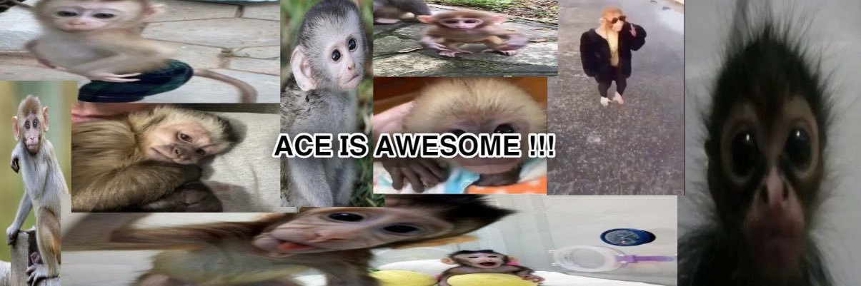 ace ✯ banner