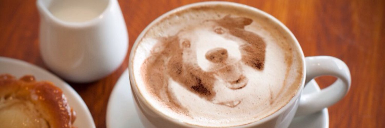 sheltiebud's profile banner image
