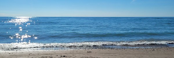 anyaface Profile Banner