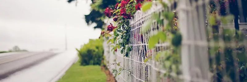 l reasitte(💙,🧡) banner