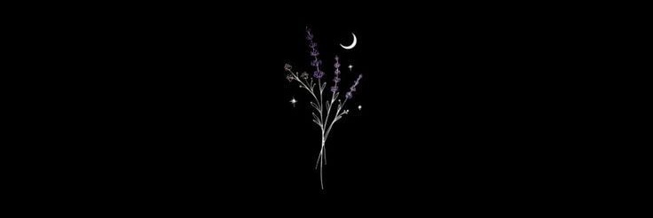 Anisarisandi's profile banner image