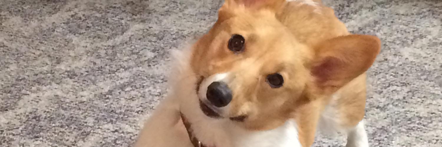 IowaLinksGirl's profile banner image