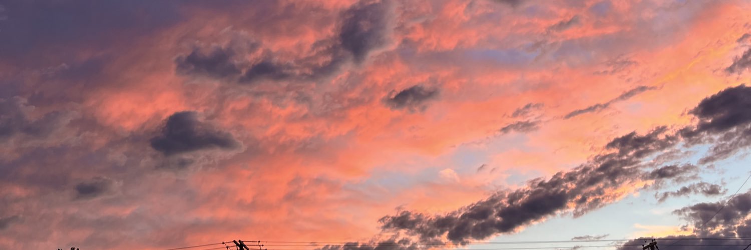 kayleelariche's profile banner image