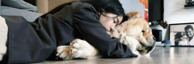 lilynovio's profile banner image