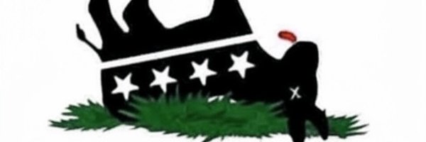 4XY1XX Profile Banner
