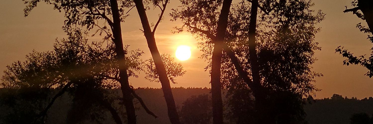 milimdz_'s profile banner image