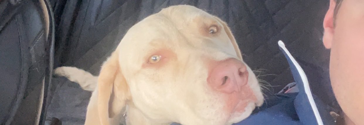 Janco_James22's profile banner image