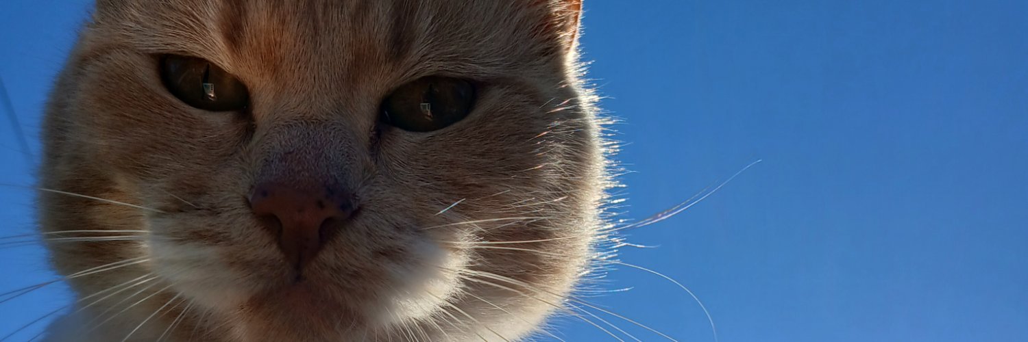 2820gchu's profile banner image