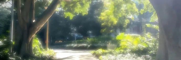 言甄氏 banner