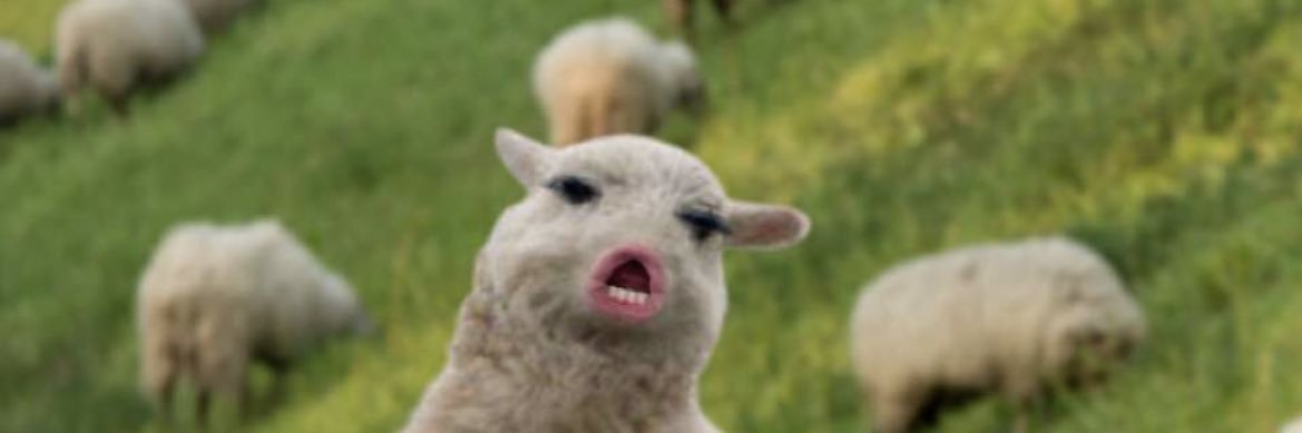 heenwich's profile banner image