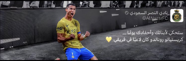 Fay3 Invictus banner