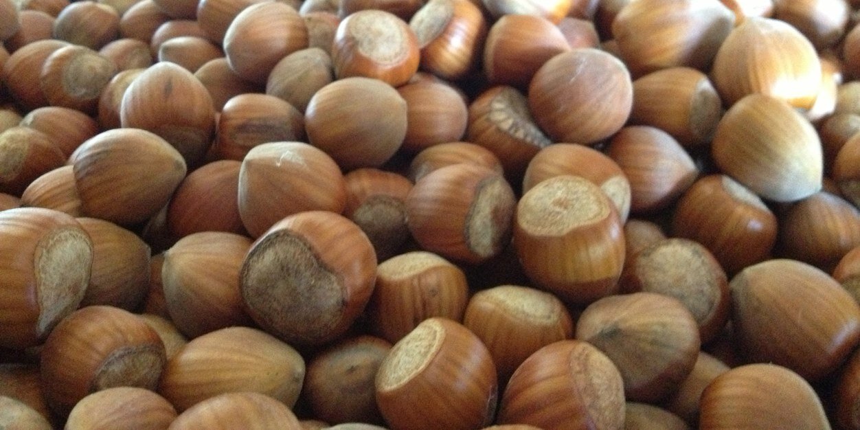 hwhazelnuts's profile banner image