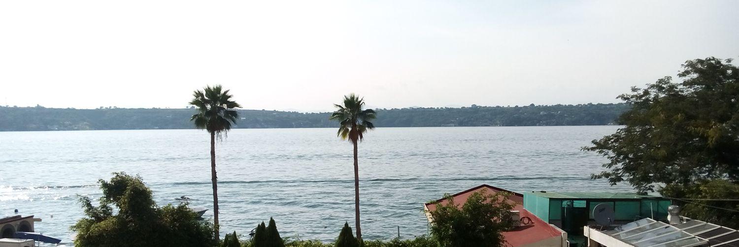 JesusExoticsMx's profile banner image