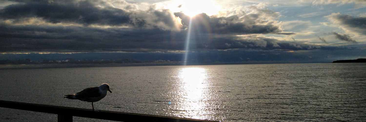 klinga333's profile banner image