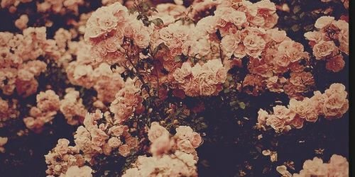 VJasmiinee's profile banner image