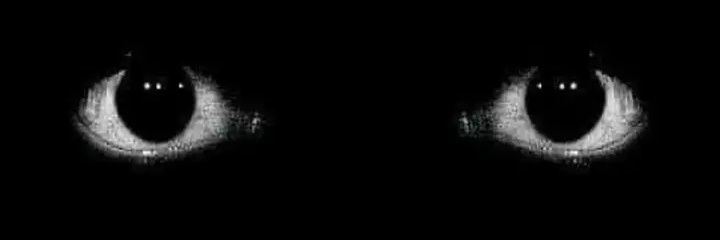 Patrick Essame banner