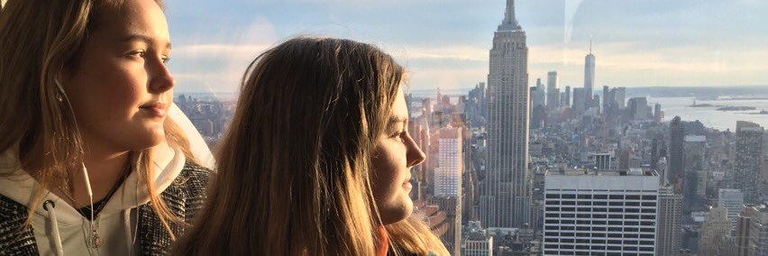 🇩🇰The Danish Cupcake🧜‍♀️ banner